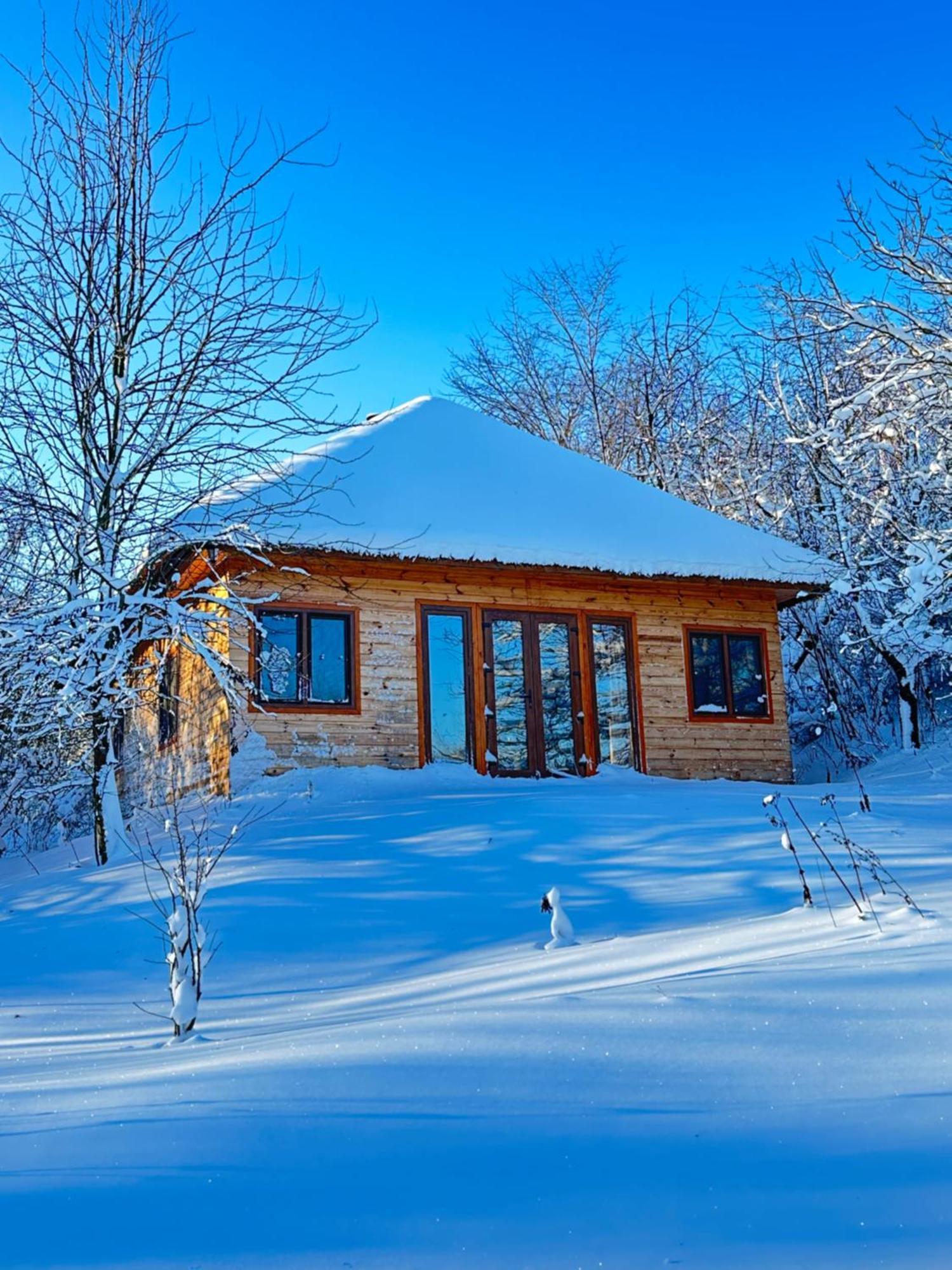 Козацька Фортеця Pliskachevka Exteriör bild